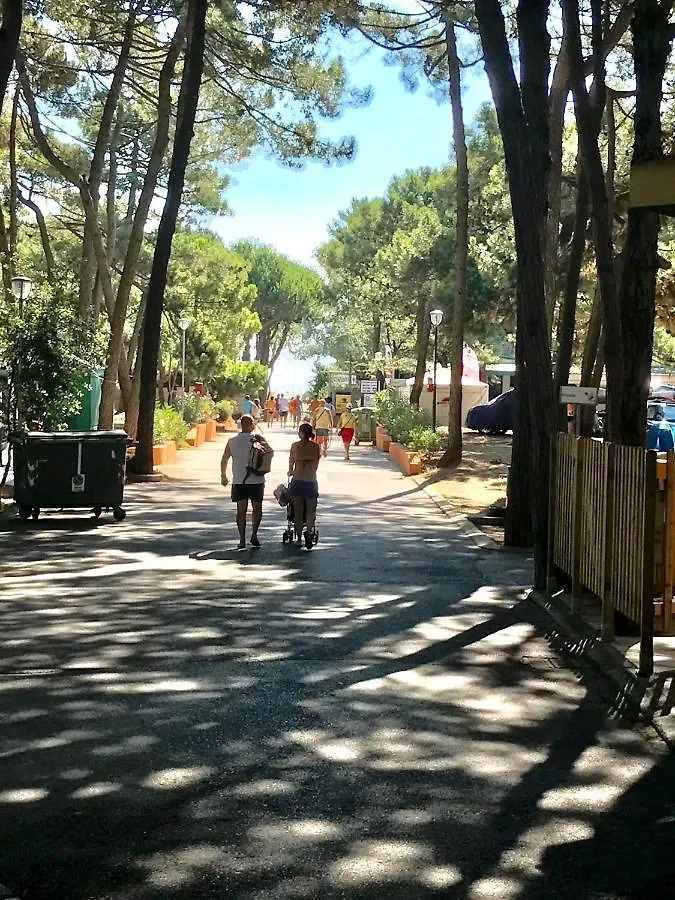 Dena Chalets - Lido Di Spina At The Beach Italië